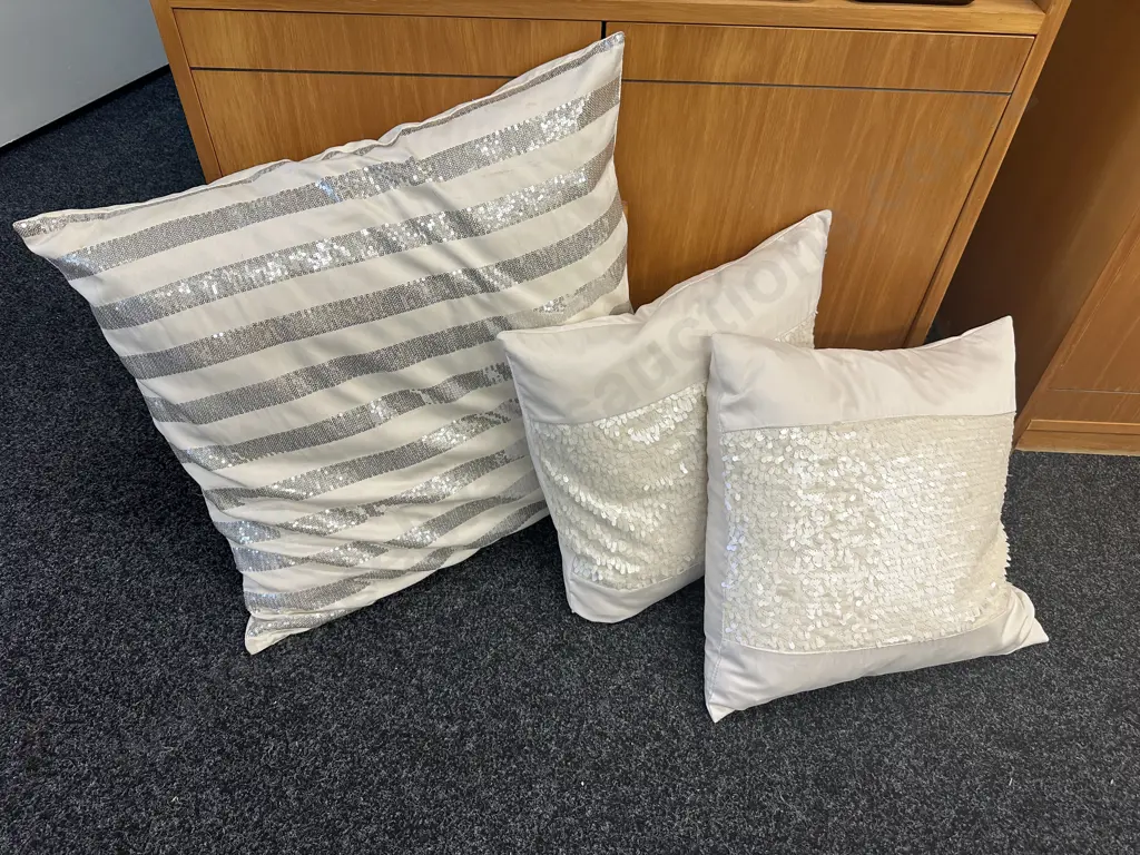 Euro Cushion & 2 x Cream Sequence Cushions Image 1++